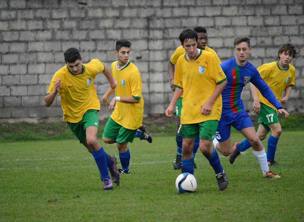 cadidavid bussolengo
